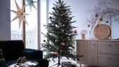 Рождественские елки и растения — фото
