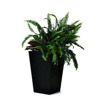 Горшок для растений Keter Rattan Planter M | Антрацит 228974