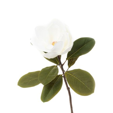 Штучна квітка Homla HIYA 70 см | Біла / Зелена 208377