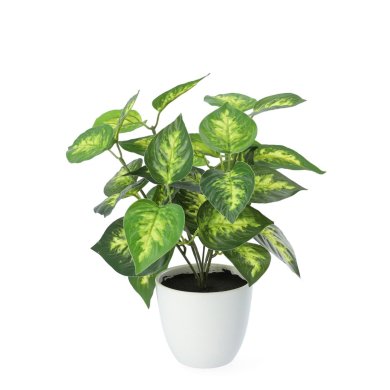 Искусственное растение в горшке Homla EDERA 20 см | Белый / Зеленый 200235