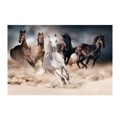 Картина на склі Signal Коні HORSES120