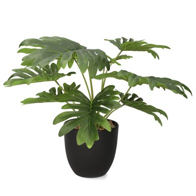 Штучна рослина в горщику Homla PALMS 13x41см | Зелений 162371