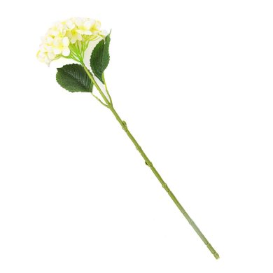Штучна квітка Homla WINKY 66 см | Екрю / Зелений 213015