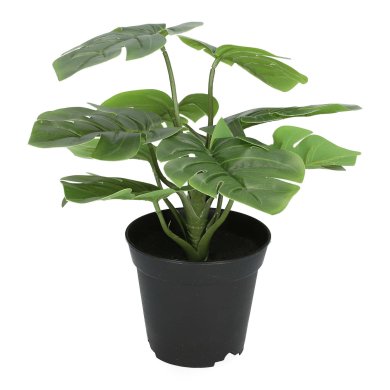 Искусственное растение в горшке Homla MONSTERA 29 см | Черный / Зеленый 162366