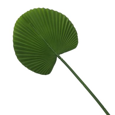 Искусственный лист Homla VEGBY 55 см | Зеленый 208371