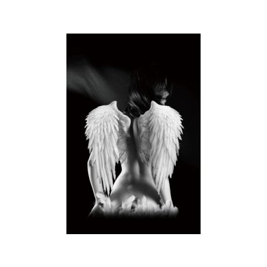 Картина на склі Signal Angel ANGEL80