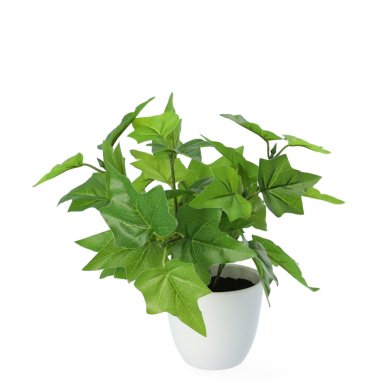 Штучна рослина в горщику Homla EDERA 20 см | Білий / Зелений 200234